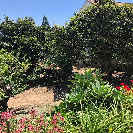 Nyaraló Tilli'n'joe's Nature House